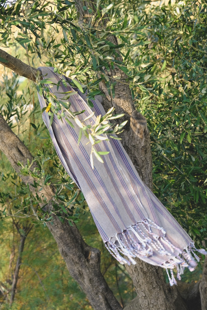 Zephyr